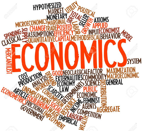 (RJC) H2 Economics Hacks Notes